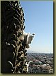 Gaudi Sagrada Familia 6.JPG