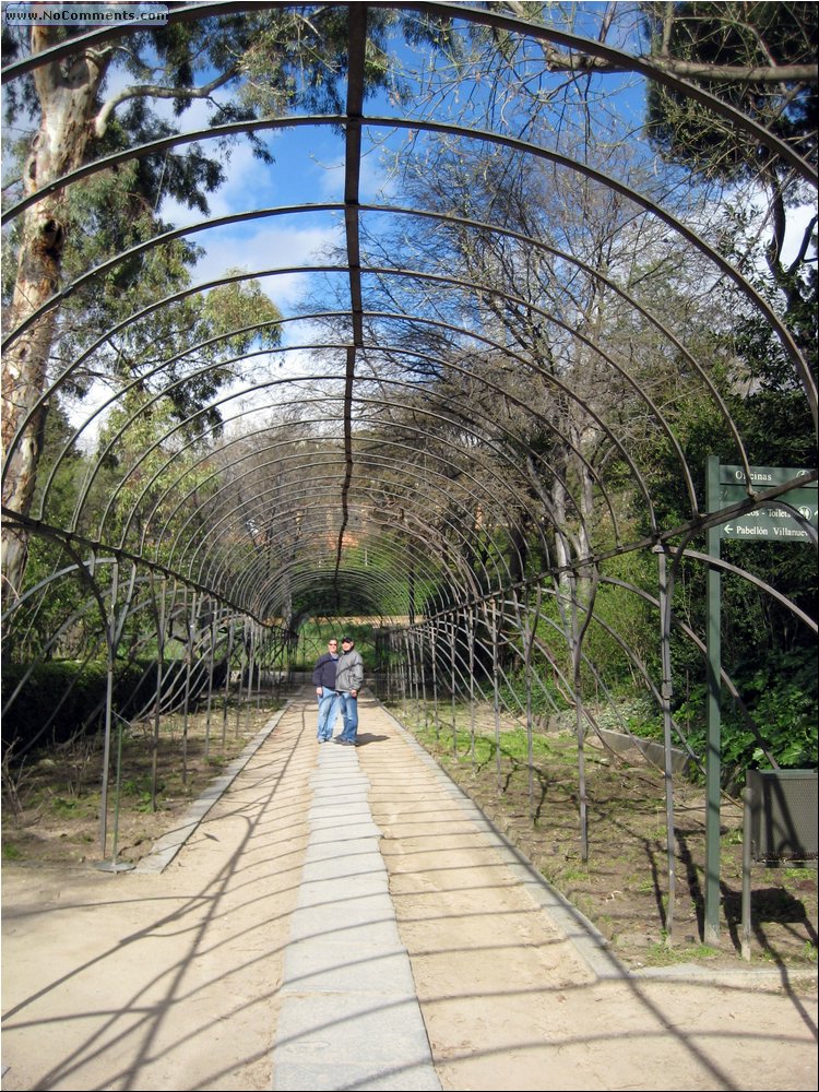 Madrid Botanic Garden 6.JPG