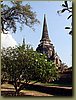 Ayutthaya - ruins 1.JPG