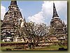 Ayutthaya - ruins.JPG