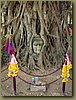 Ayutthaya - tree roots and Buddhas head.JPG