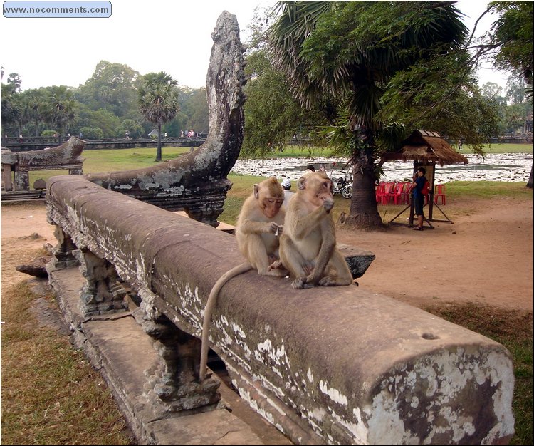Angkor Wat - rolling a fatty.JPG