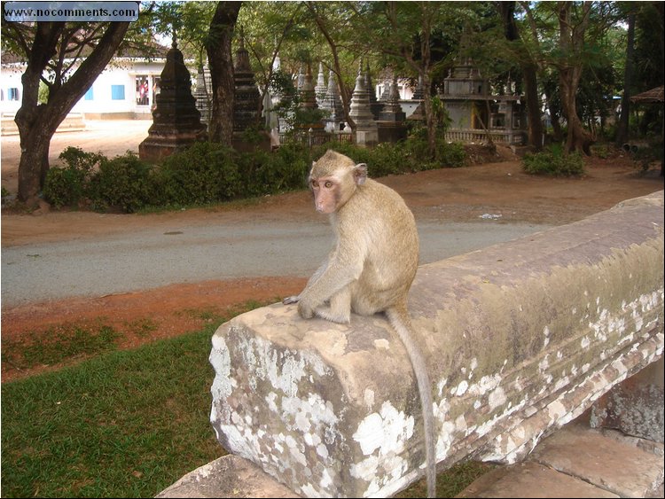 Angkor Wat resident.JPG