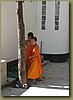 Buddhist Novices Monks.jpg