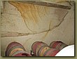 Turasan Winery barrels.jpg