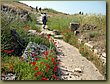 Hierapolis road to the theater.jpg