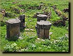 20250528_101115.jpg