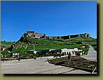 20250529_080510.jpg