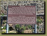 20250529_082132.jpg