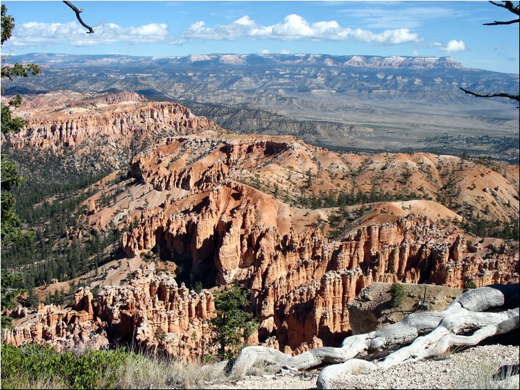 Bryce Canyon 6f.jpg