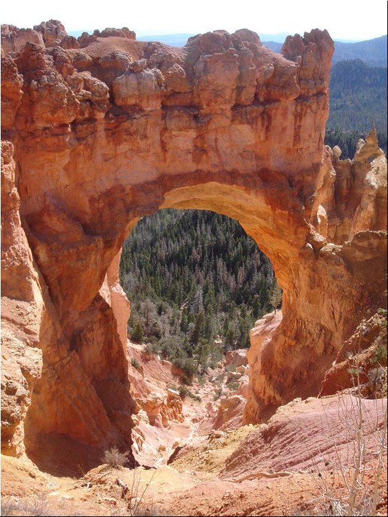 Bryce Canyon Natural Bridge 1.JPG