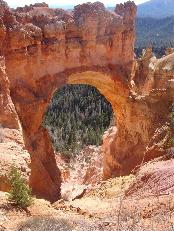 Bryce Canyon Natural Bridge 1a.JPG