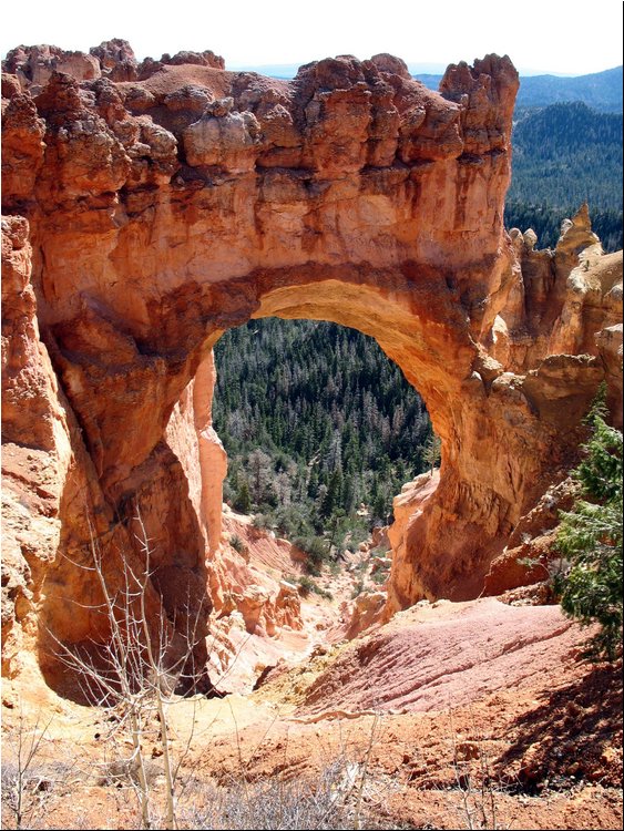 Bryce Canyon Natural Bridge 1b.jpg