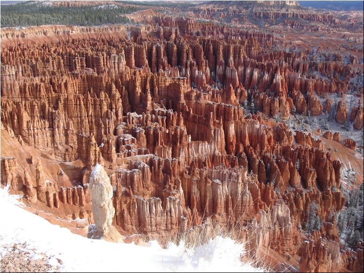 Bryce Canyon snow 3.JPG