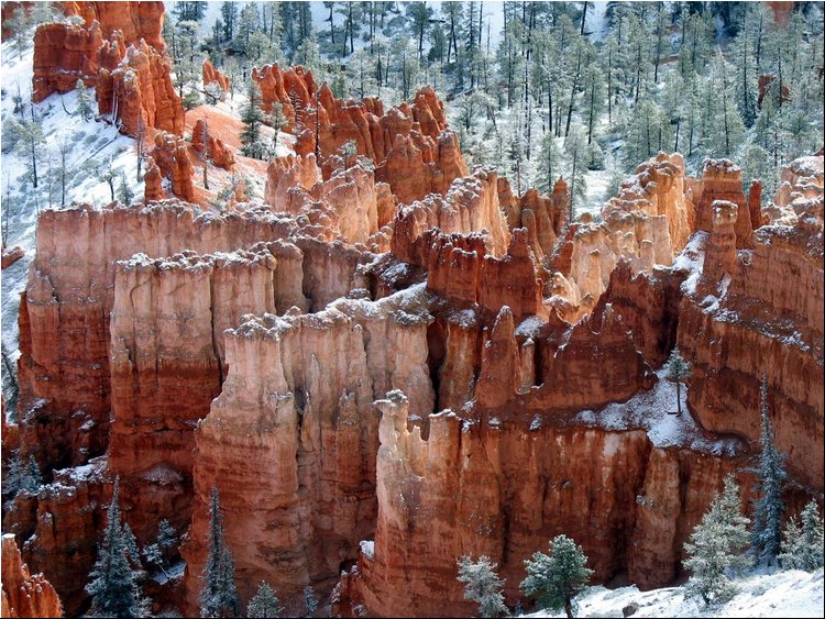 Bryce Canyon snow 5.jpg