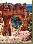 Bryce Canyon Natural Bridge 1b.jpg