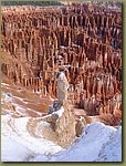 Bryce Canyon snow 2.JPG