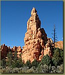Dixie National Forest 4a.jpg