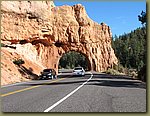Dixie National Forest 6a.jpg