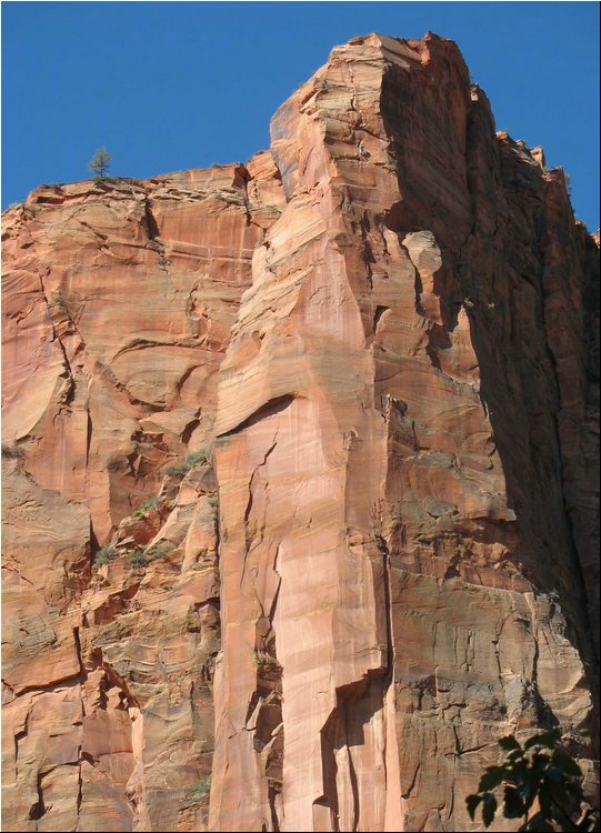 Zion National Park Mount Climbers.jpg