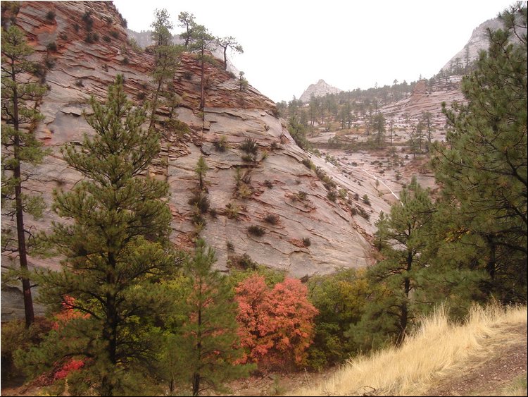 Zion Park 2.JPG