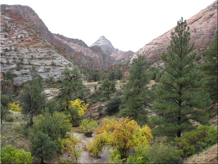 Zion Park 2a.jpg