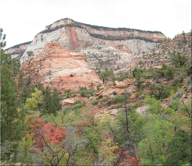 Zion Park 2g.jpg