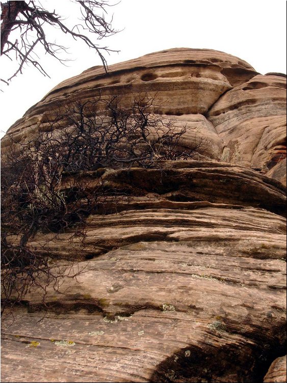 Zion Park 3c.JPG