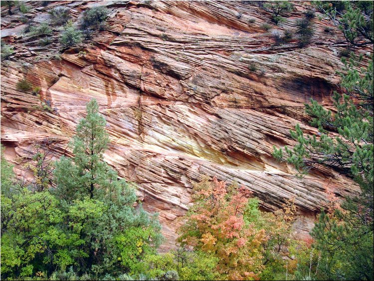 Zion Park 3f.JPG