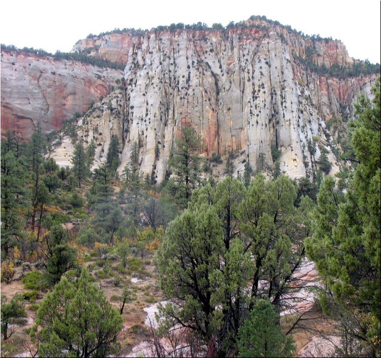 Zion Park 4b.jpg