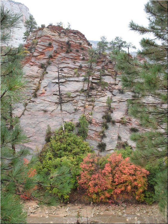 Zion Park 4e.jpg