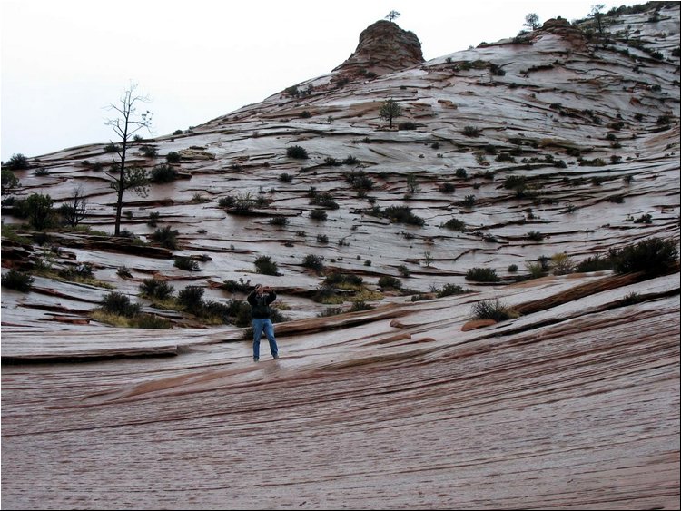 Zion Park 4f.jpg