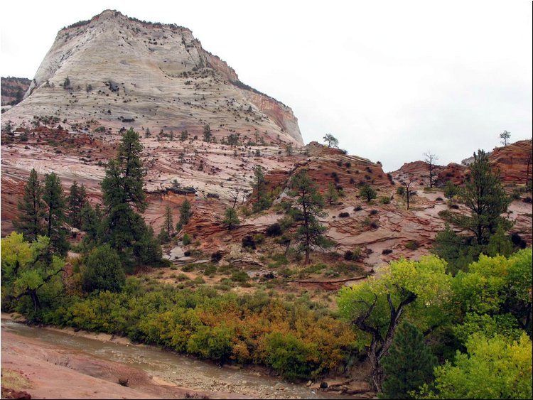 Zion Park 4g.jpg