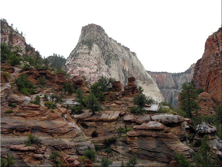 Zion Park 4h.jpg