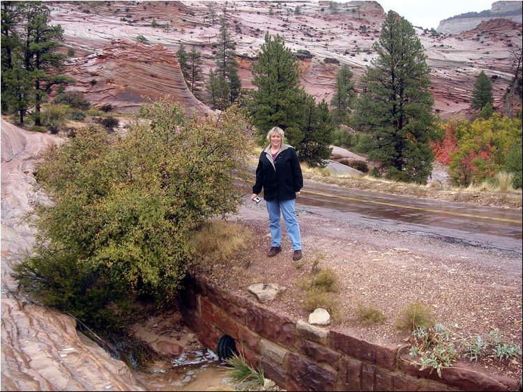 Zion Park 5.JPG