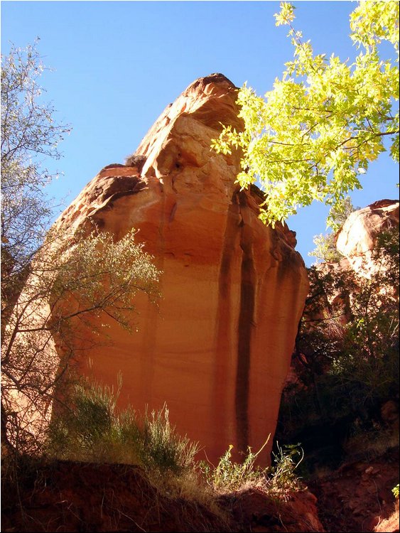 Zion Park 5a.JPG