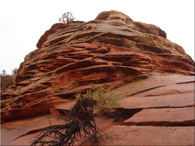 Zion Park 6a.JPG