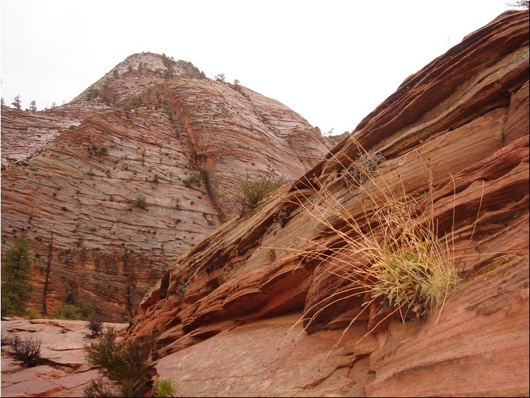 Zion Park 6c.JPG