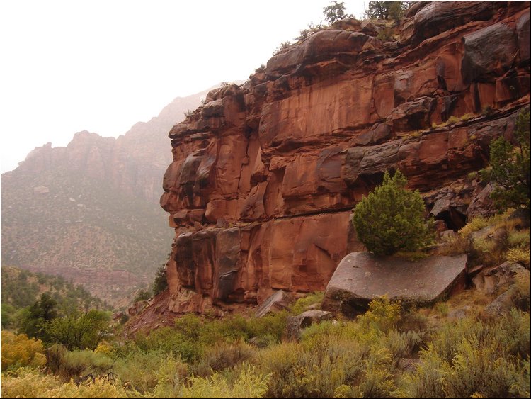 Zion Park 7b.JPG