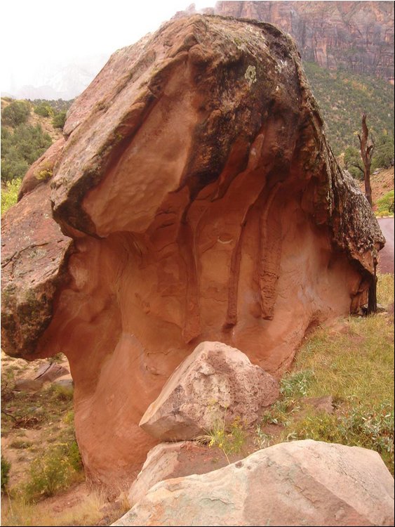 Zion Park 8d.JPG