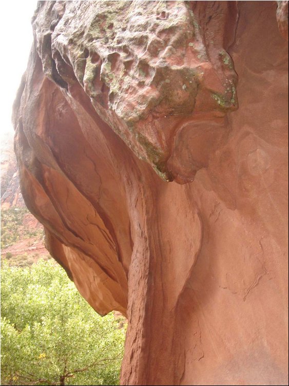 Zion Park 8g.JPG