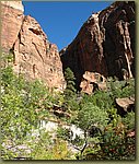 Zion National Park.jpg