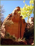 Zion Park 5a.JPG