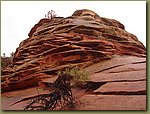 Zion Park 6a.JPG