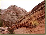 Zion Park 6c.JPG