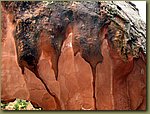 Zion Park 8.jpg