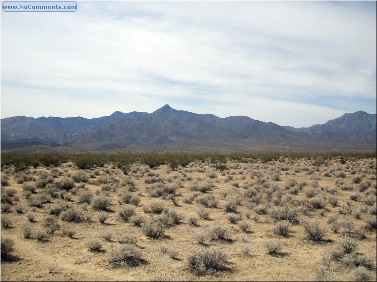 Mojave Desert 8.jpg
