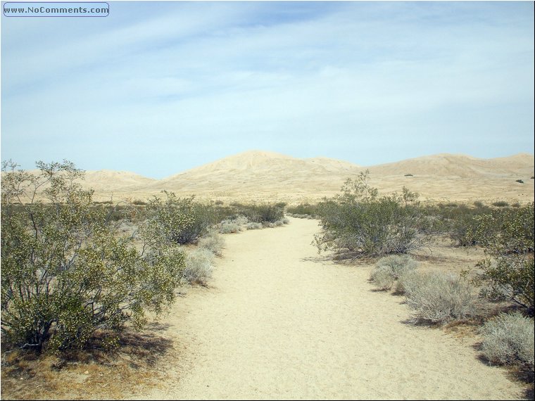 Mojave Desert 8c.jpg