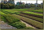 20180321_154833.jpg