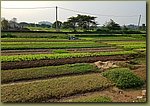 20180321_154855.jpg